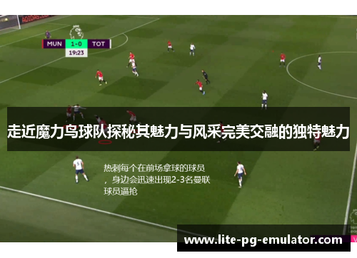 走近魔力鸟球队探秘其魅力与风采完美交融的独特魅力