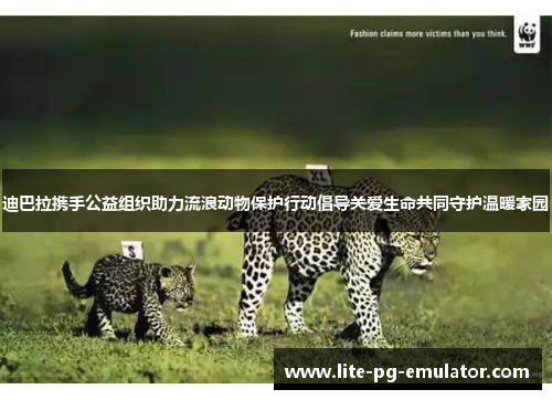 迪巴拉携手公益组织助力流浪动物保护行动倡导关爱生命共同守护温暖家园