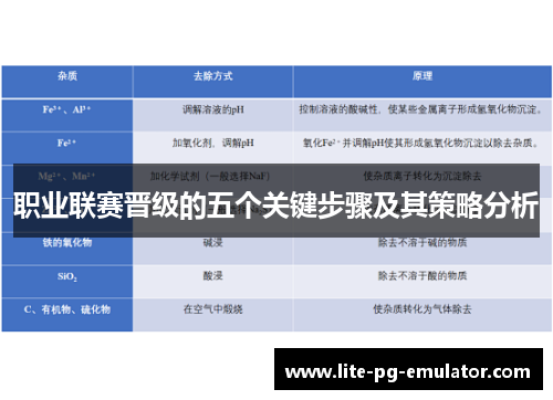 职业联赛晋级的五个关键步骤及其策略分析 职业联赛晋级的五个关键步骤及其策略分析
