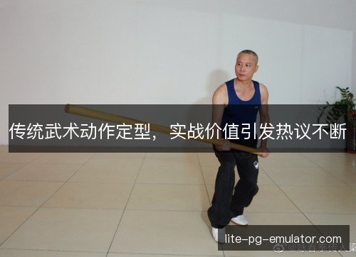 传统武术动作定型，实战价值引发热议不断